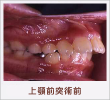 ��{�O�ˏp�O